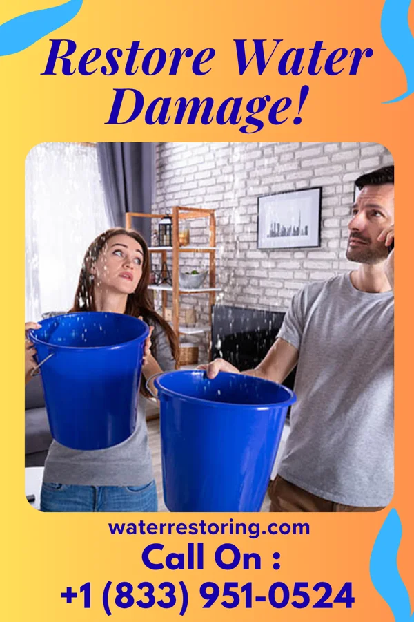 water restoration Master Water Damage Authority Mahanoy City