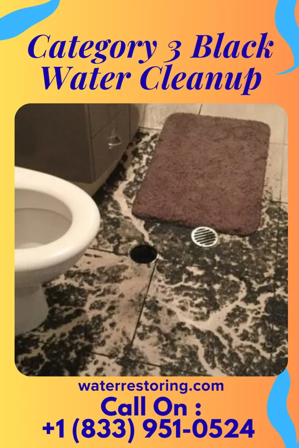 Category 3 Black Water Cleanup in Mahanoy City, PA