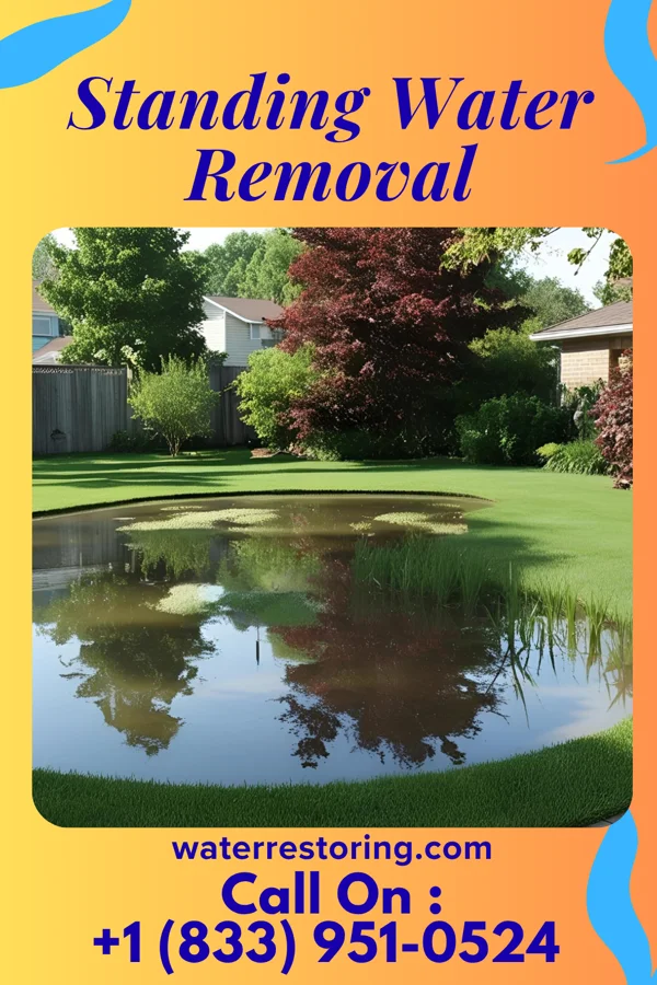 Standing Water Removal in Mahanoy City, PA